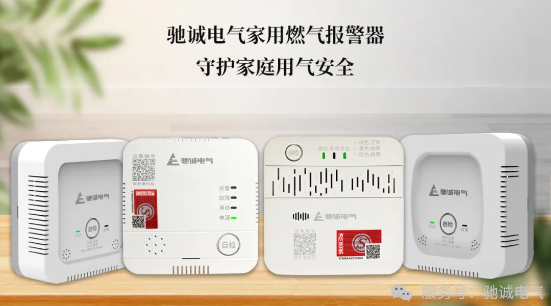 选购避坑指南：如何挑对家里的“燃气安全哨兵”？